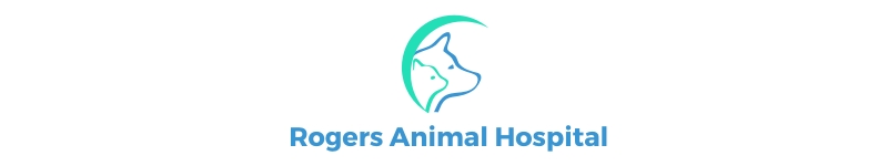 441 Animal Hospital Logo